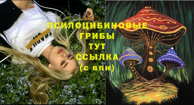 Псилоцибиновые грибы GOLDEN TEACHER  Мирный 